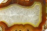 Polished Queensland Agate Nodule - Australia #323012-1